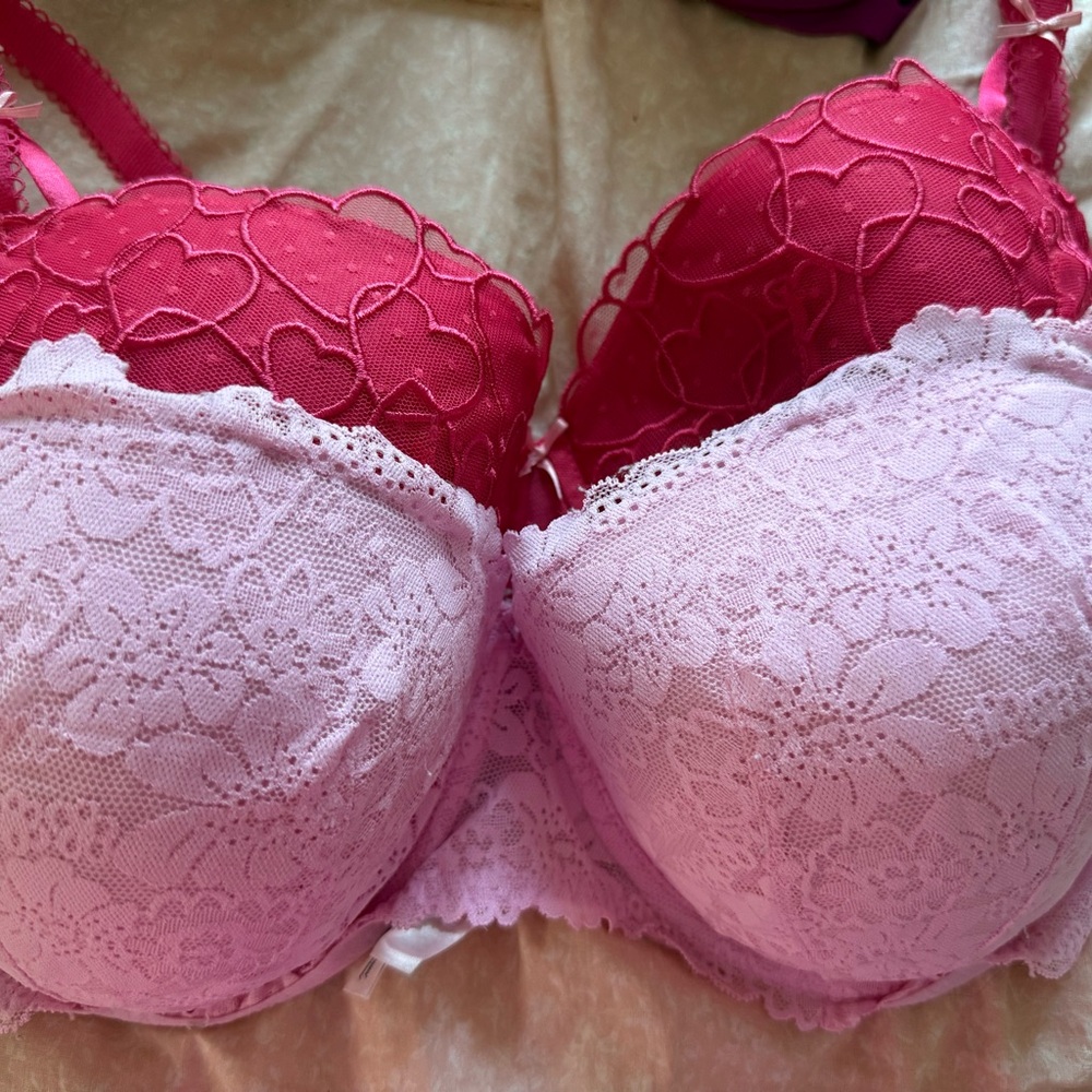 Lace Push-Up Bra Duo - Pink & Hot Pink 38DD- new and washed, not worn